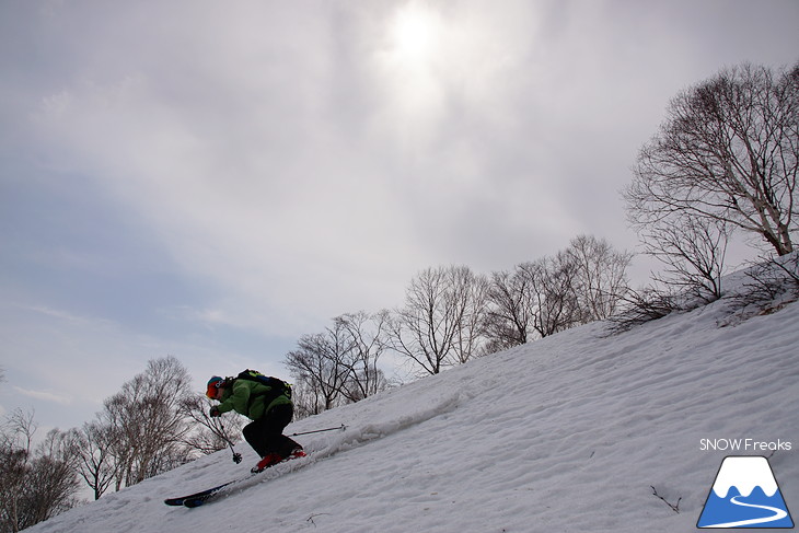 DYNASTAR SKI series Test Ride Days 2017 in ニセコユナイテッド【Day.2】～ニセコグラン・ヒラフ～